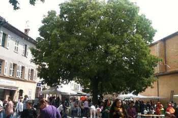 Getting inspired by a Gratiferia in a small mountain village, South of France