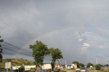 Under the Rainbow