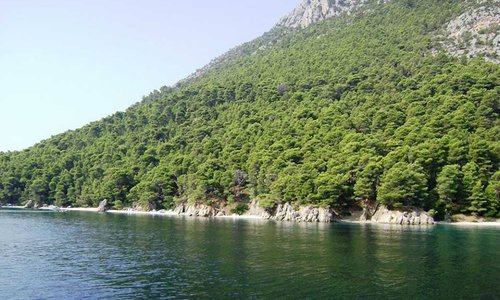 Kalamos island biological field station and eco-community