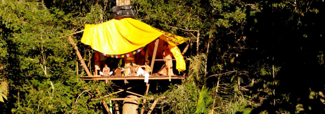 Tree House Festival